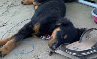 Charles M.'s photo of camping with pets at Galveston Island State Park Campground near Galveston, TX