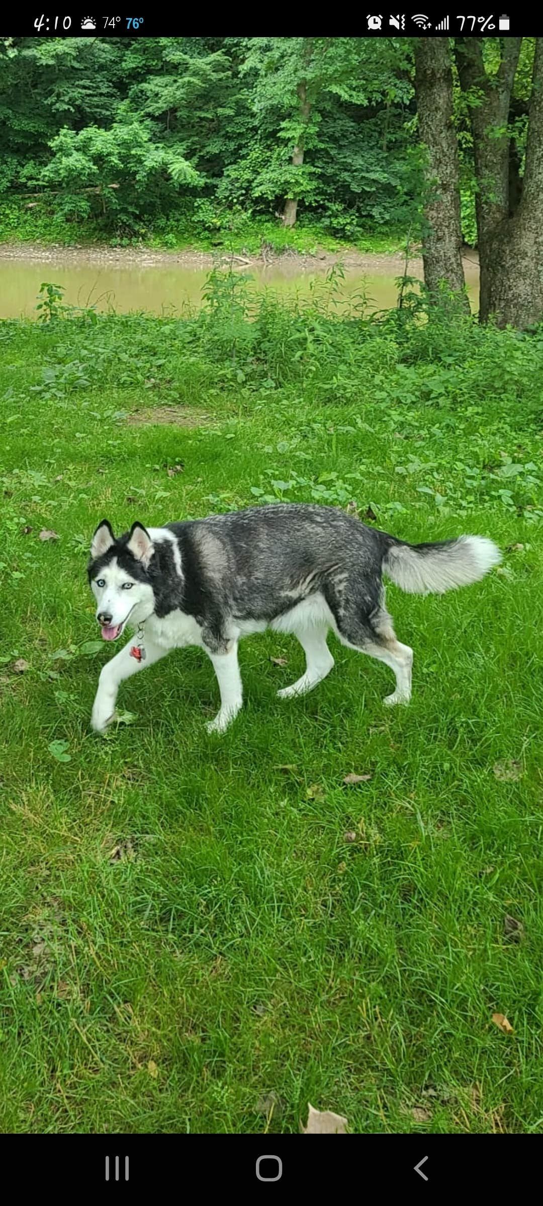 Camper-submitted photo at Mohican Wilderness near Gambier, OH