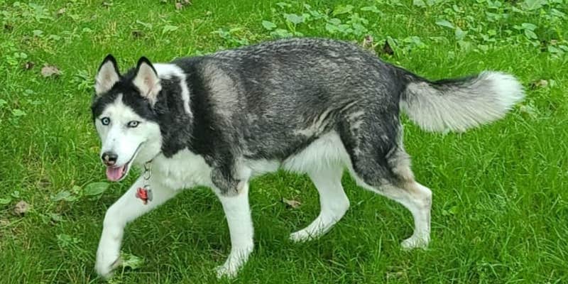 Camper submitted image from Mohican Wilderness