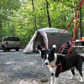 Review photo of Cloudland Canyon State Park Campground by Jennifer F., June 10, 2018