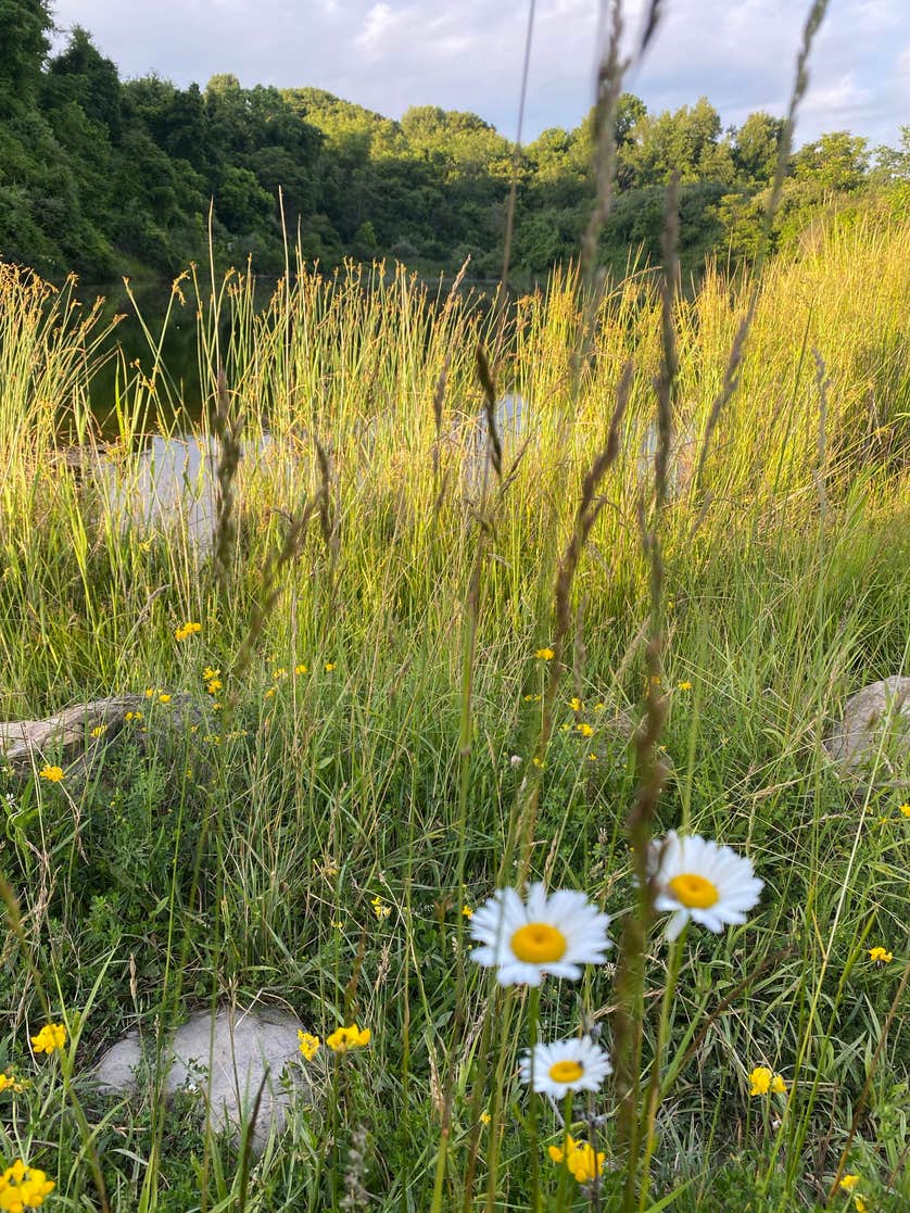 Egypt Valley Wildlife Area | The Dyrt