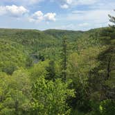 Review photo of Bandy Creek Campground — Big South Fork National River and Recreation Area by Sarah N., July 16, 2016