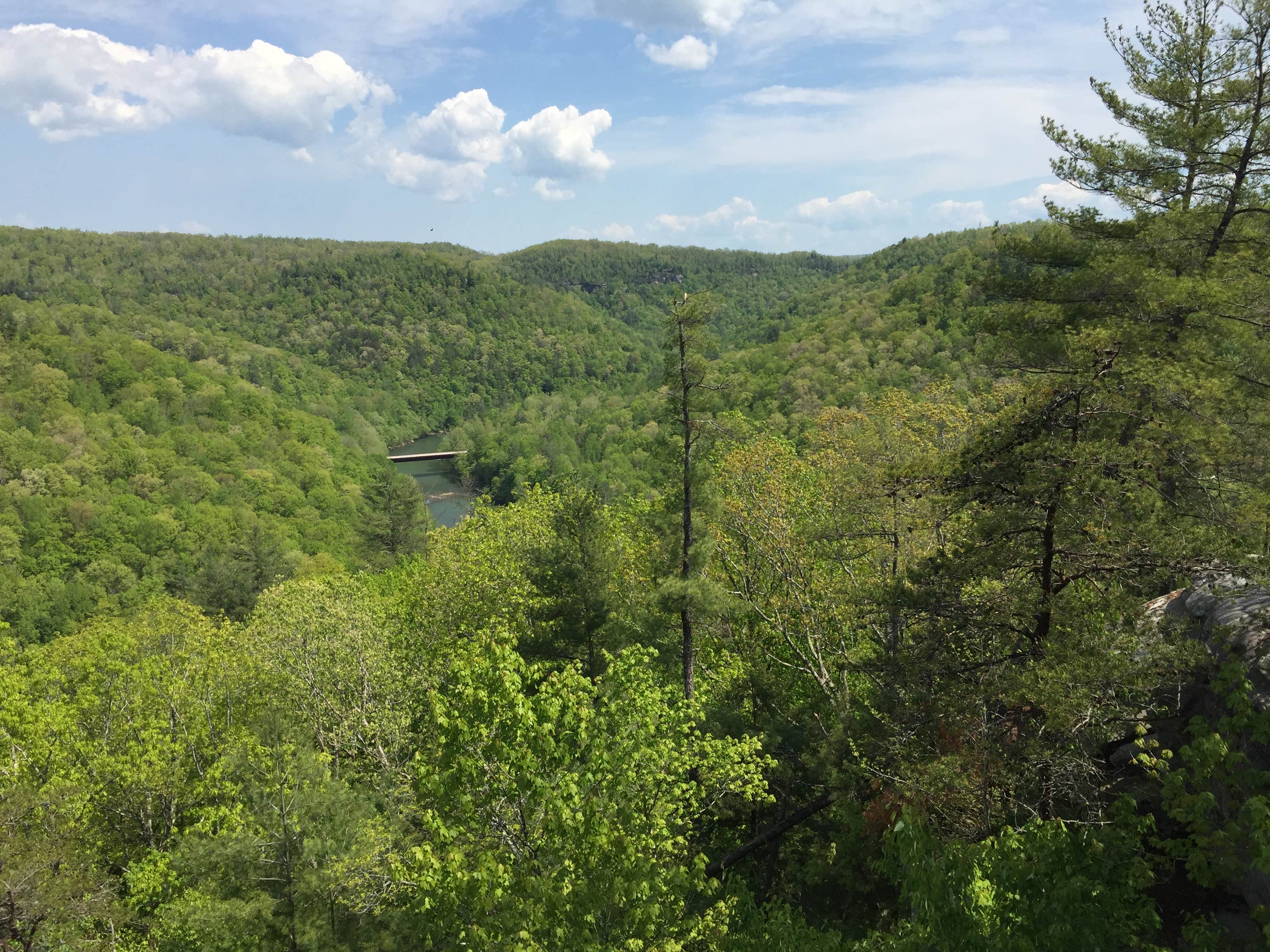 Camper submitted image from Bandy Creek Campground — Big South Fork National River and Recreation Area - 2