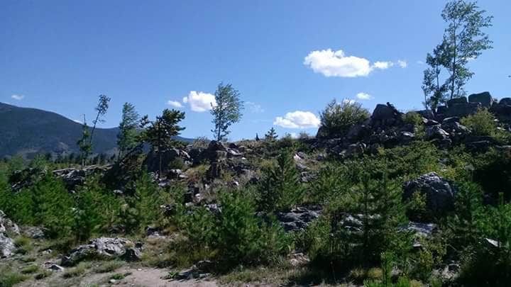 Camper submitted image from Lowry Campground - 5