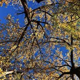 Review photo of Vista Linda Campground — Santa Fe National Forest by Naythin H., June 17, 2021