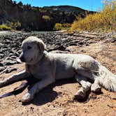 Review photo of Rio Chama Campground by Naythin H., June 17, 2021