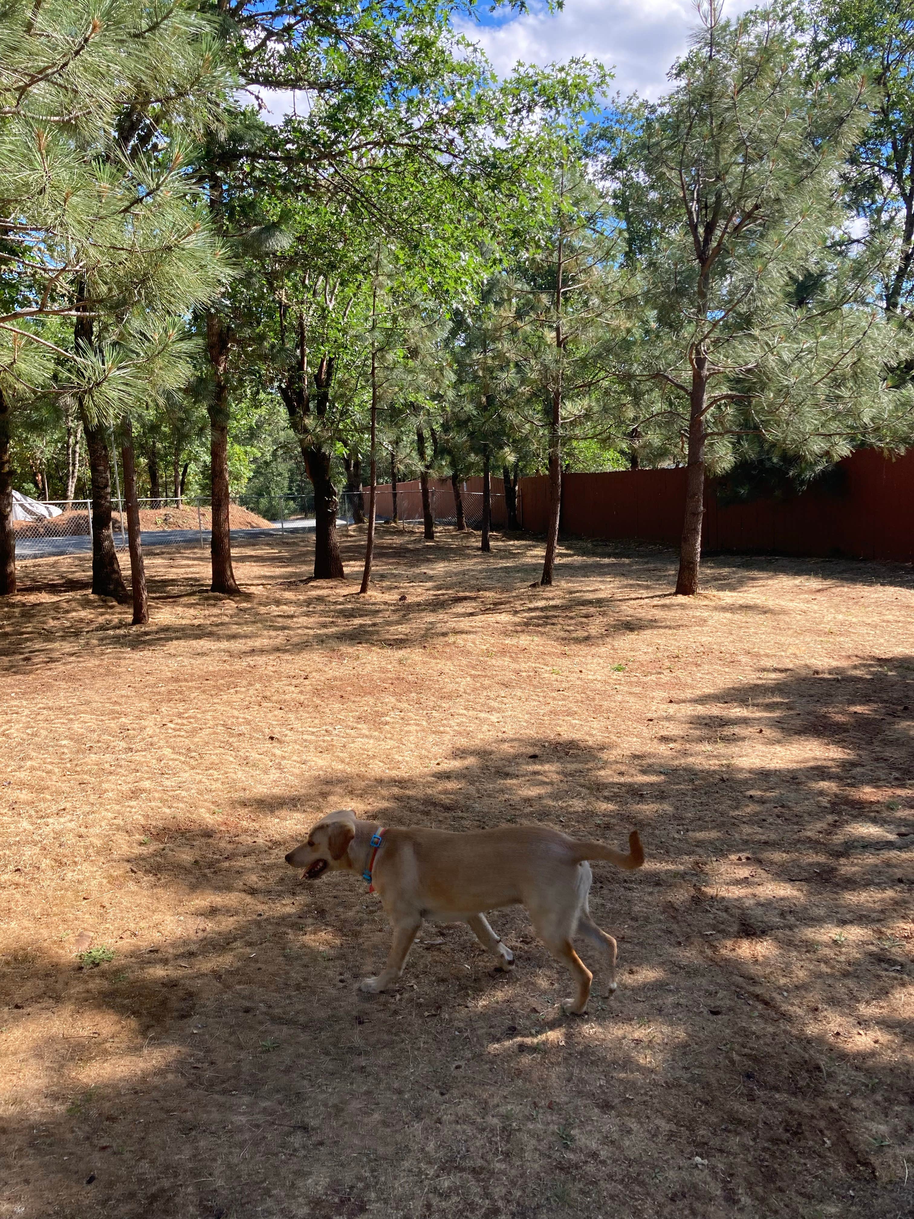 Jennifer H.'s photo of camping with pets at Grants Pass KOA near Grants Pass, OR