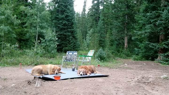 Camper-submitted photo at Gore Creek Campground near Red Cliff, CO