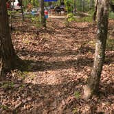 Review photo of Bandy Creek Campground — Big South Fork National River and Recreation Area by Sarah N., July 16, 2016