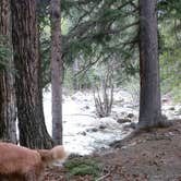 Review photo of Difficult Campground by Victoria F., June 10, 2018