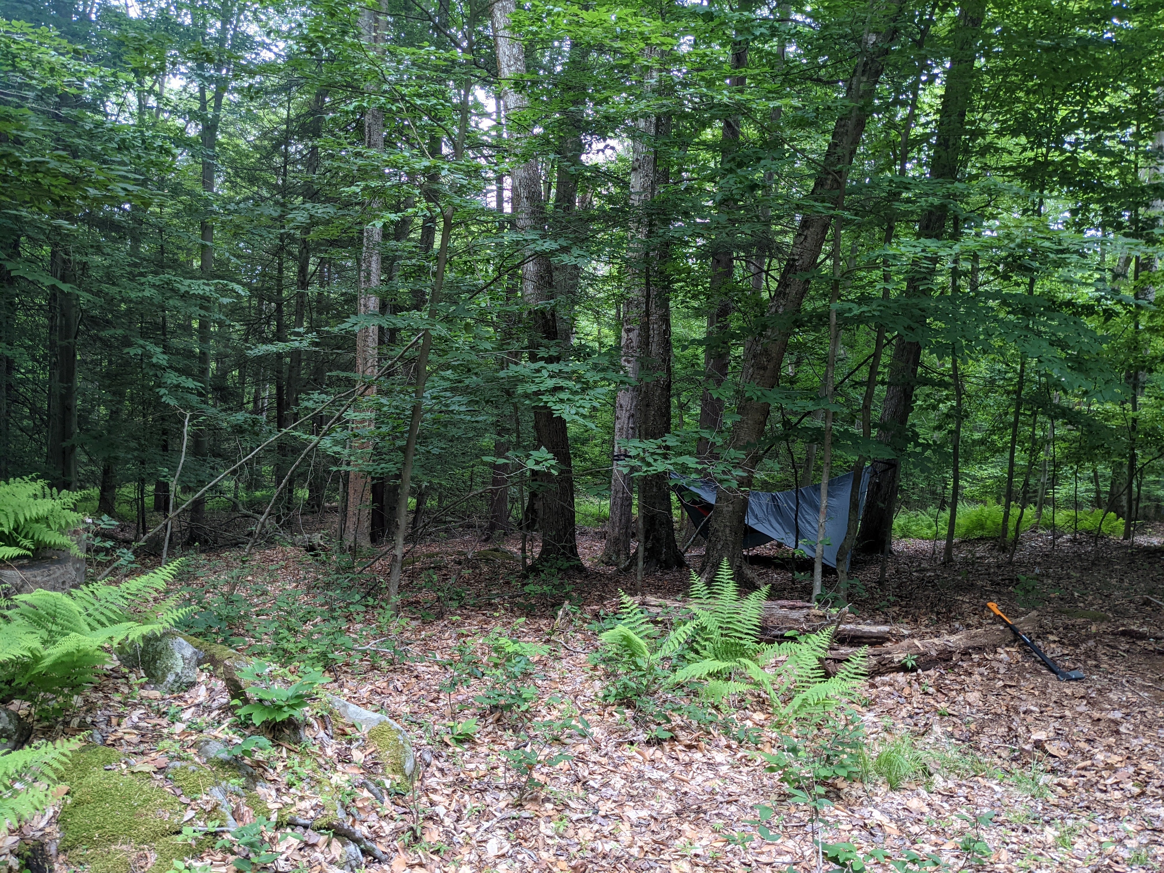 Camper submitted image from Secluded Acres Campground - 3