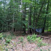 Review photo of Secluded Acres Campground by Addam C., June 17, 2021