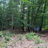 Review photo of Secluded Acres Campground by Addam C., June 17, 2021