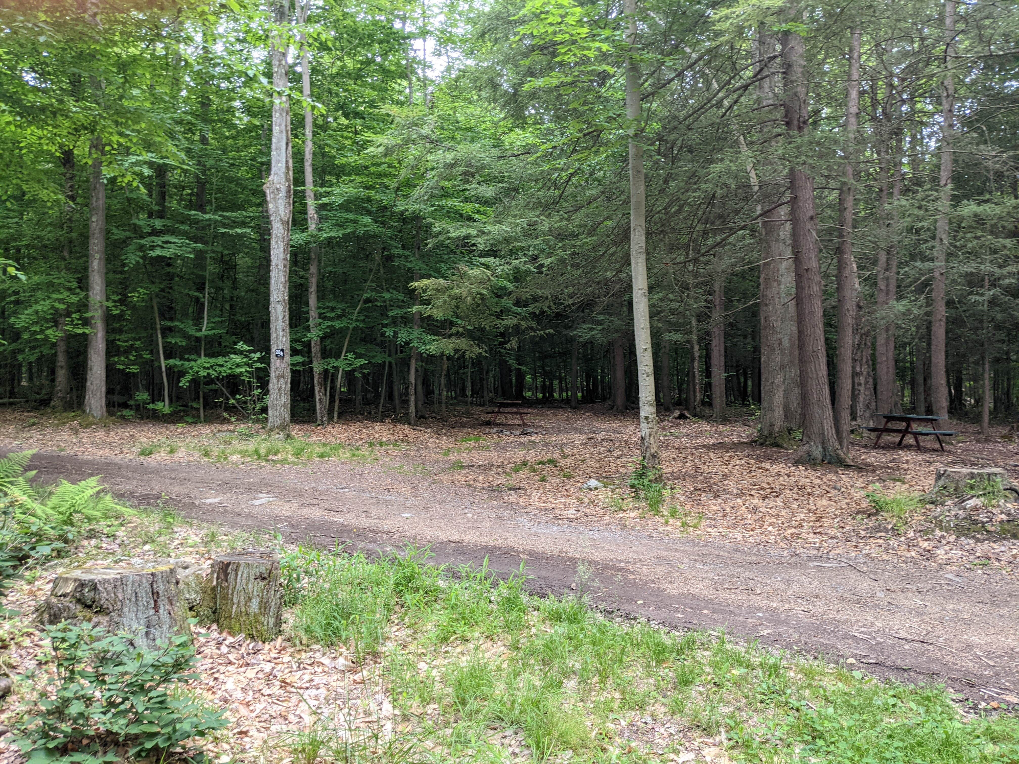 Camper submitted image from Secluded Acres Campground - 2