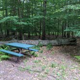 Review photo of Secluded Acres Campground by Addam C., June 17, 2021