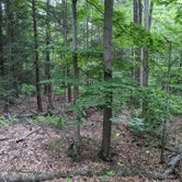 Review photo of Secluded Acres Campground by Addam C., June 17, 2021