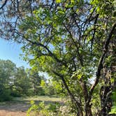 Review photo of Madden Peak Road - Dispersed by Caden D., June 17, 2021