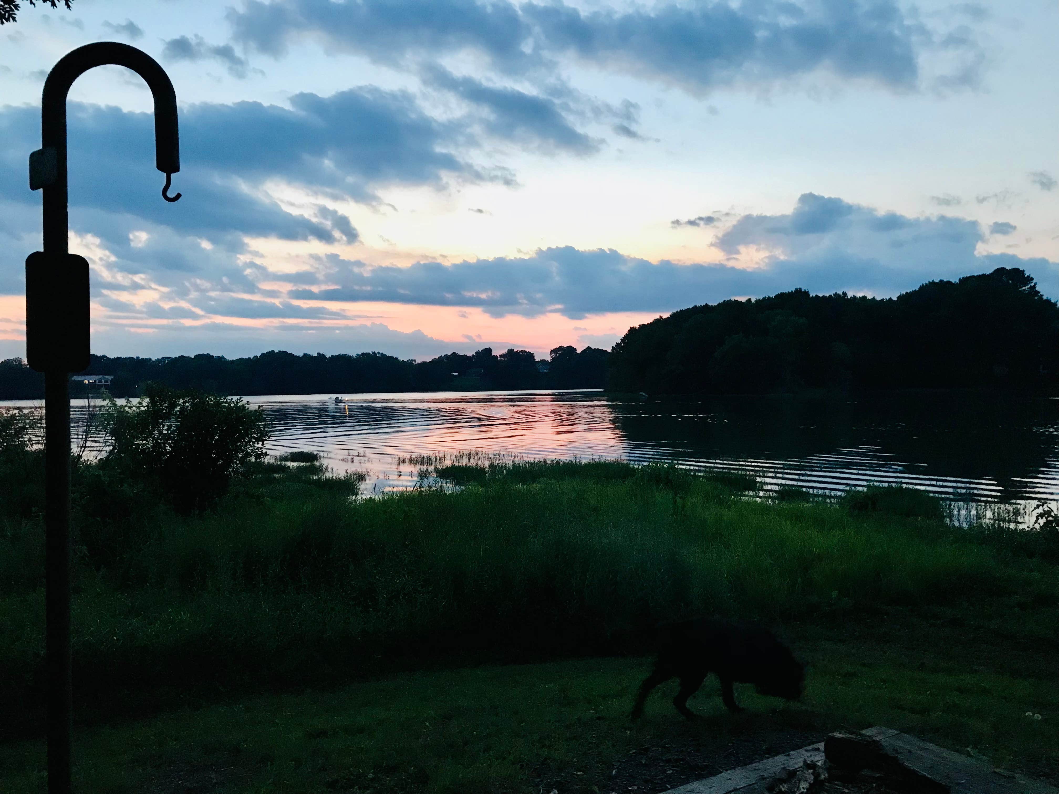 Christina H.'s photo of camping with pets at Piney Bay near Lake Dardanelle