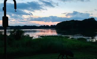 Christina H.'s photo of camping with pets at Piney Bay near Ozone, AR