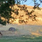 Review photo of Hells Gate State Park Campground by Jaime B., June 17, 2021