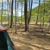 Review photo of Crawford Notch Campground by Monica S., June 10, 2018