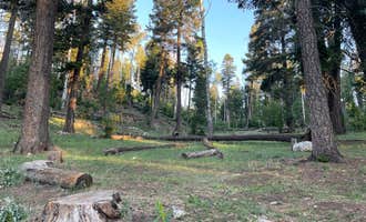 Camping near Lower Karr Canyon Campground: Sleepy Grass Campground, Cloudcroft, New Mexico