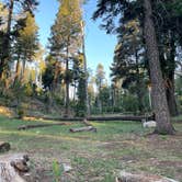 Review photo of Sleepy Grass Campground by J. Tom S., June 17, 2021