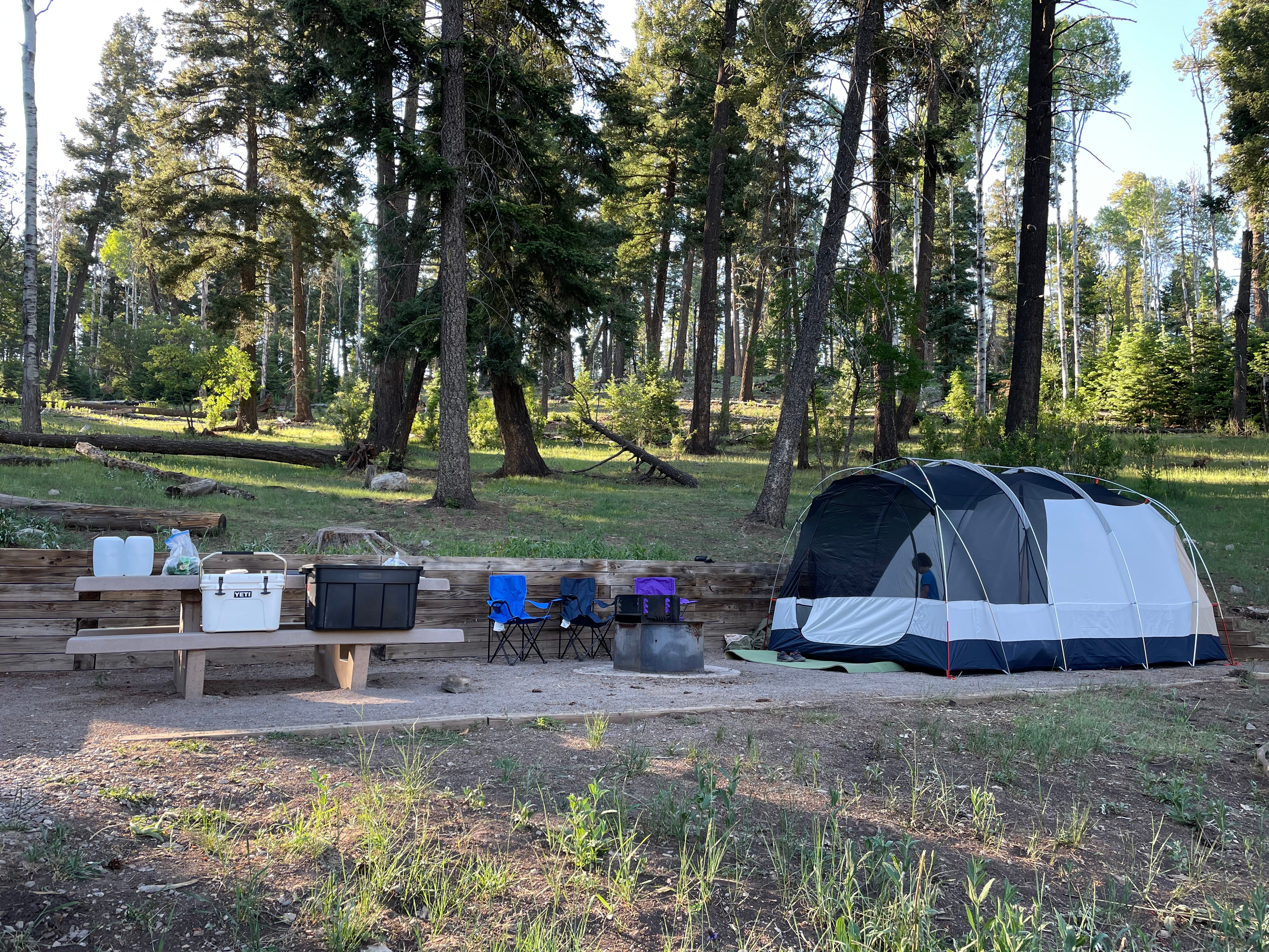 Camper submitted image from Sleepy Grass Campground - 3