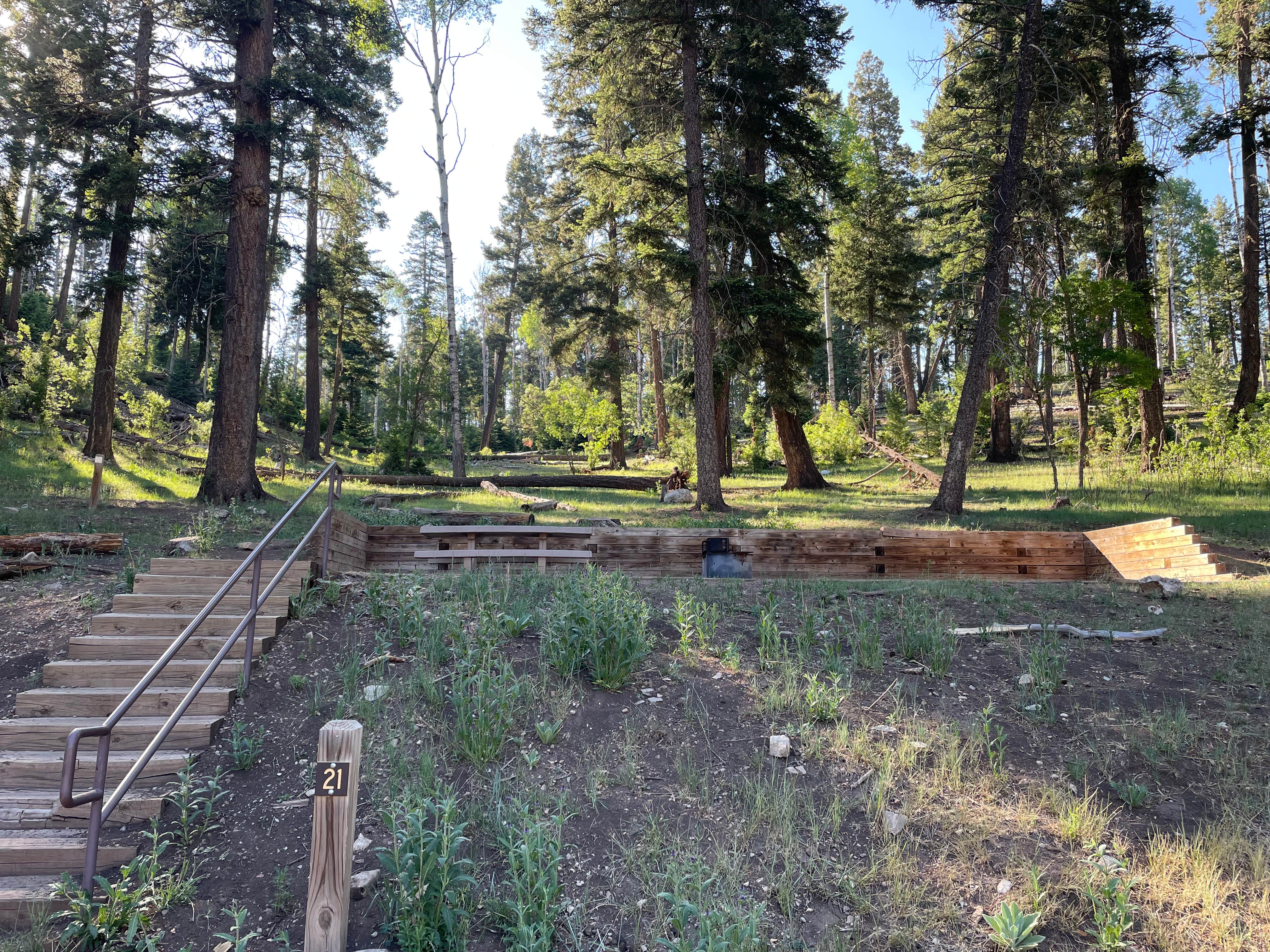 Camper submitted image from Sleepy Grass Campground - 5