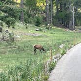 Review photo of Sleepy Grass Campground by J. Tom S., June 17, 2021