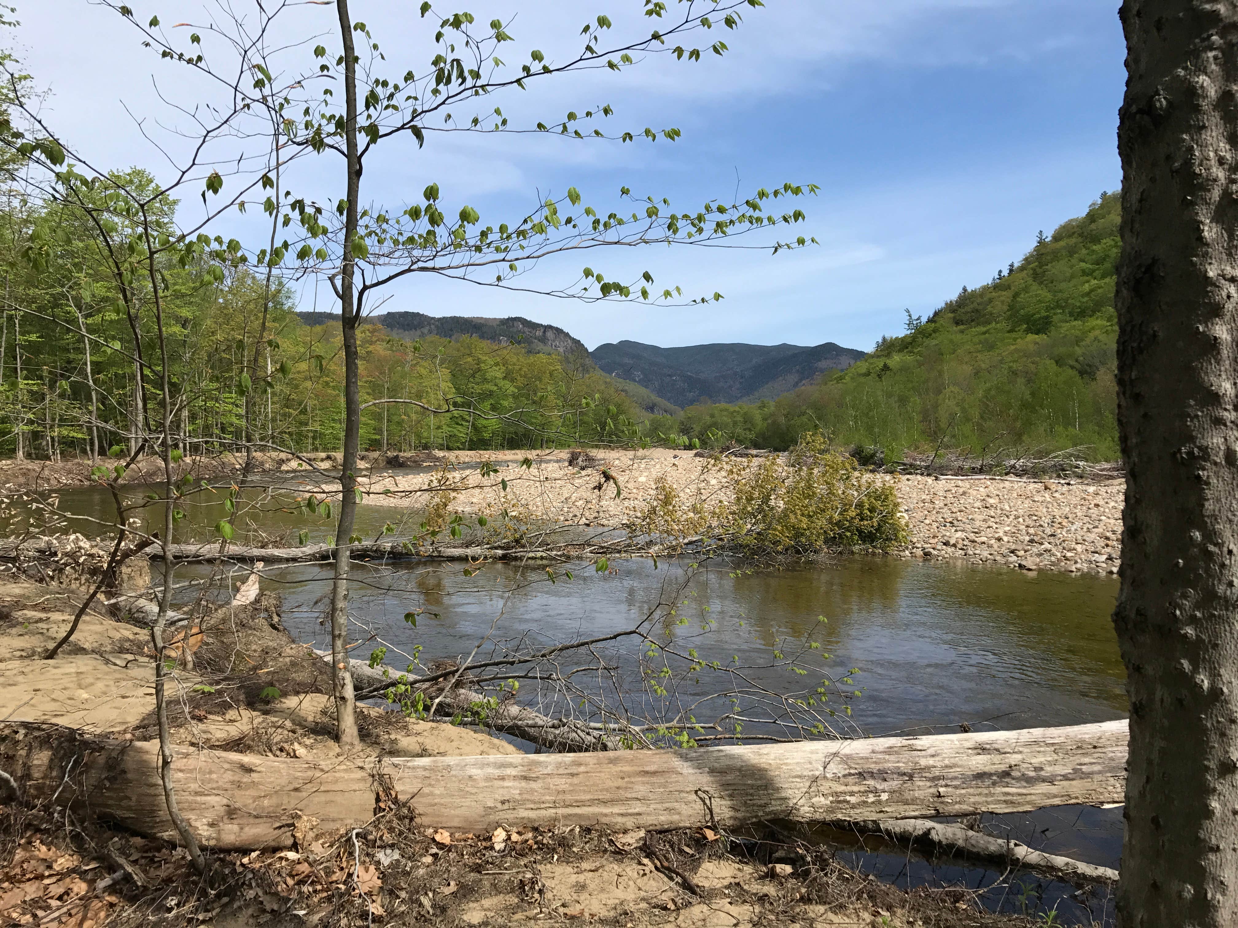 Camper-submitted photo at Crawford Notch Campground in New Hampshire