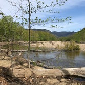 Review photo of Crawford Notch Campground by Monica S., June 10, 2018