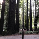 Review photo of Burlington Campground — Humboldt Redwoods State Park by Lai La L., June 10, 2018