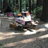 Review photo of Burlington Campground — Humboldt Redwoods State Park by Lai La L., June 10, 2018
