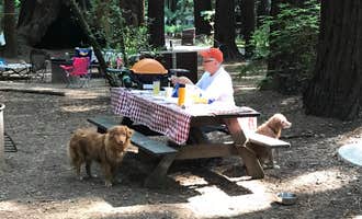 Camping near Hidden Springs Campground — Humboldt Redwoods State Park: Burlington Campground — Humboldt Redwoods State Park, Weott, California
