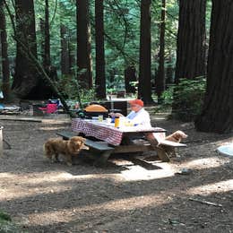 Burlington Campground — Humboldt Redwoods State Park