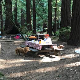 Burlington - Humboldt Redwoods State Park