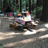 Review photo of Burlington - Humboldt Redwoods State Park by Lai La L., June 10, 2018