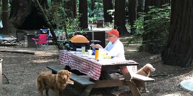Camper submitted image from Burlington Campground — Humboldt Redwoods State Park