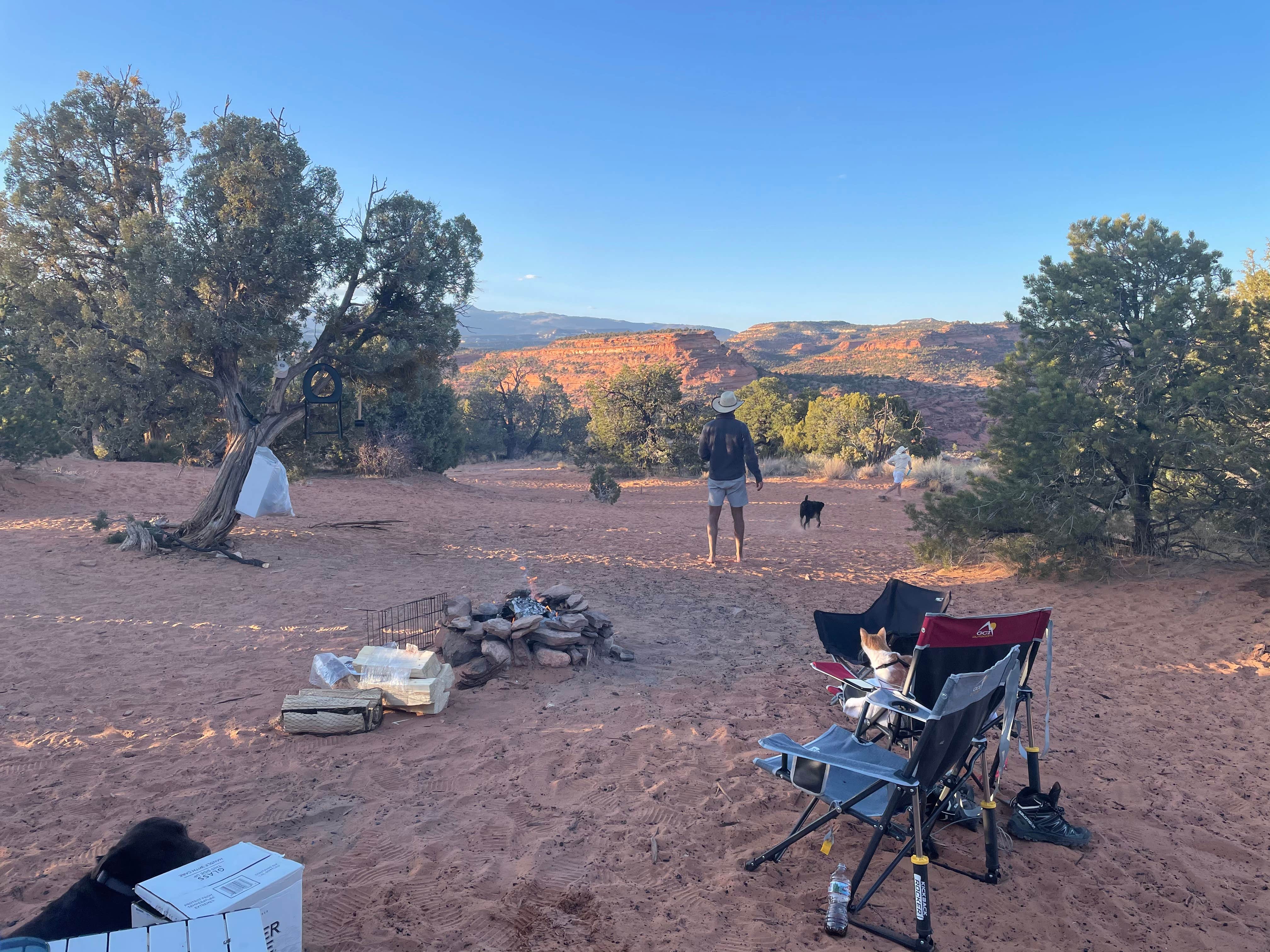 Camper submitted image from Burr Trail Rd Dispersed Camping - 1