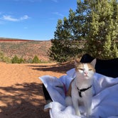 Review photo of Burr Trail Rd Dispersed Camping by Dani B., June 17, 2021