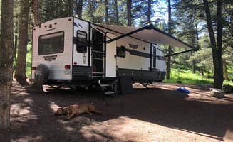 Allyse's photo of rv camping at Curtis Canyon Campground near Kelly, WY