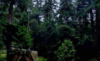 Stan S.'s photo at Big Sur Campground & Cabins near Big Sur, CA