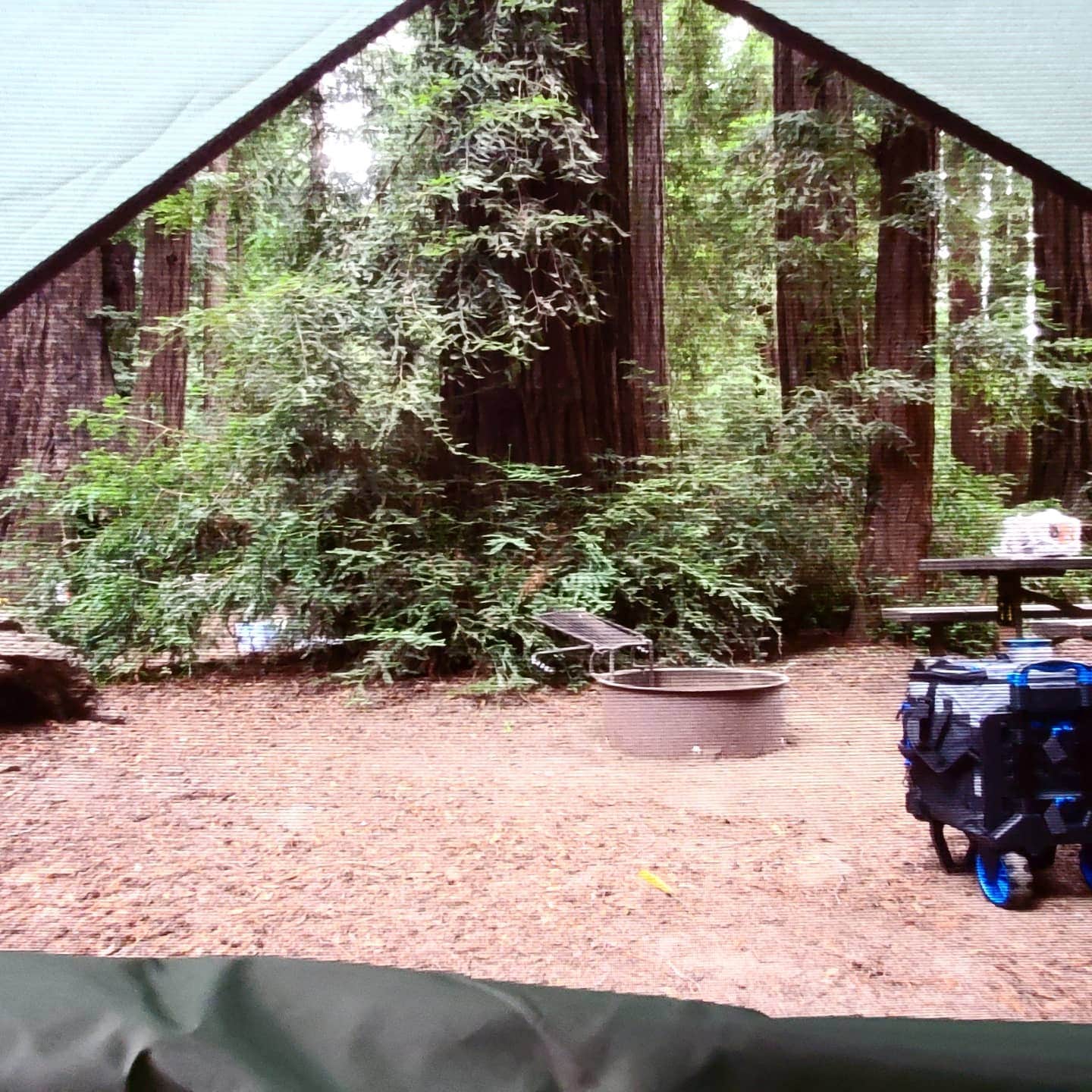 Stan S.'s photo of a cabin at Big Sur Campground & Cabins near Seaside, CA