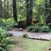 Review photo of Mill Creek Campground — Del Norte Coast Redwoods State Park by Lai La L., June 10, 2018