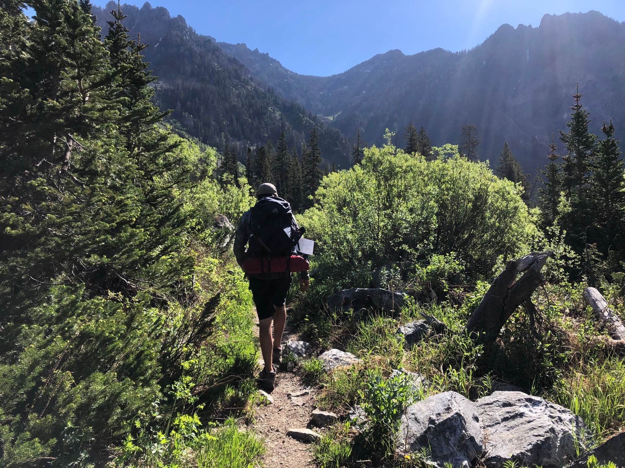 Camper submitted image from Death Canyon Camping Zone — Grand Teton National Park - 5