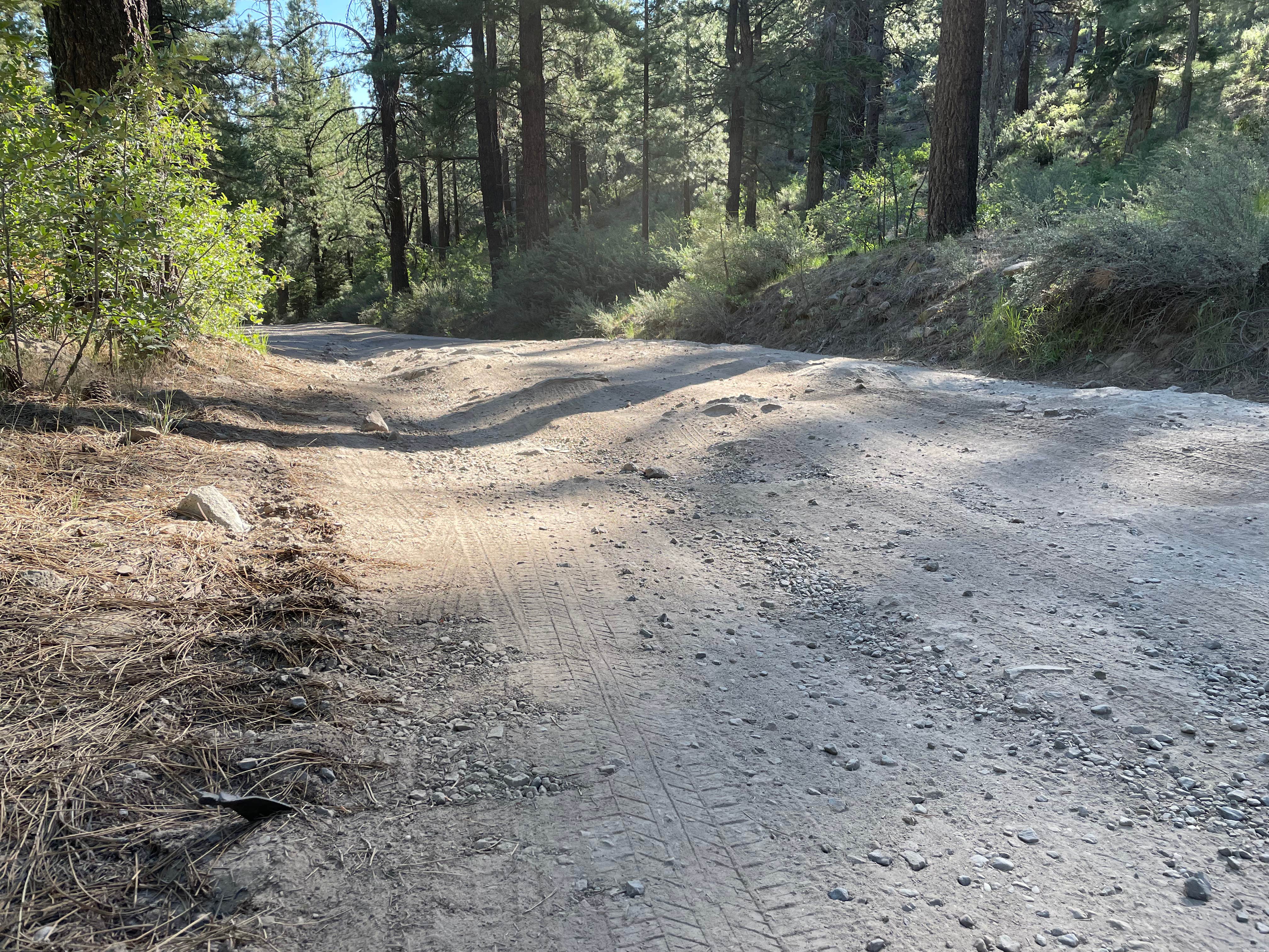 Camper submitted image from Lookout Campground - 2