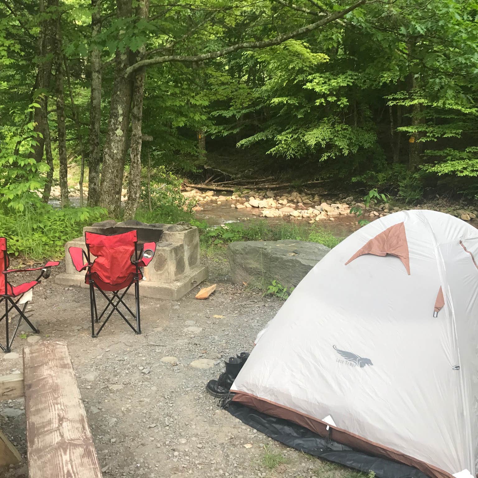 Escape to Nature: Your Guide to New York's Woodland Hills Campground