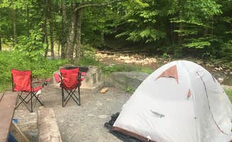 Kyla B.'s photo at Woodland Valley Campground — DEC near Arkville, NY
