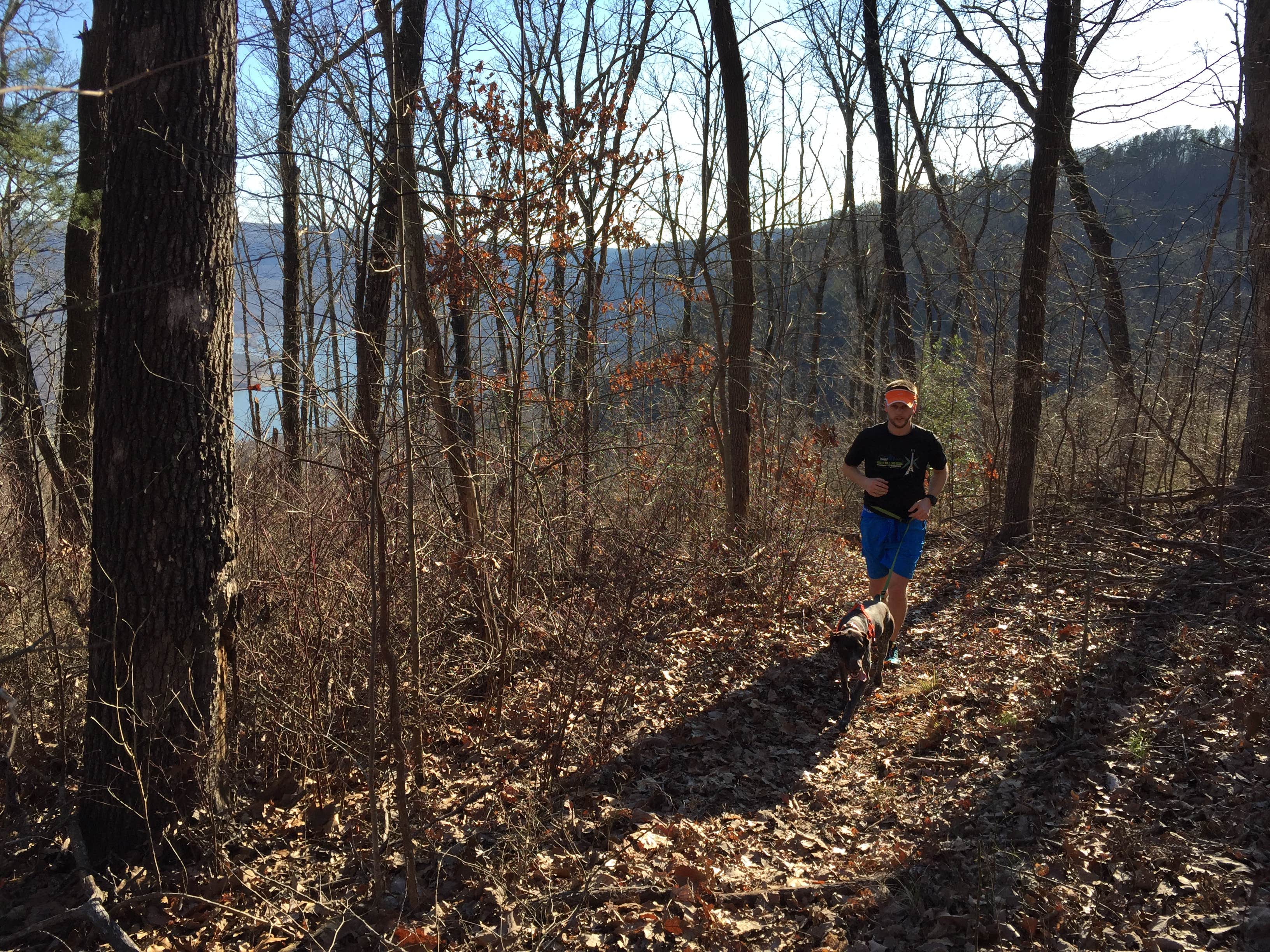 Camper-submitted photo at Prentice Cooper State Forest Dispersed near White Oak, GA